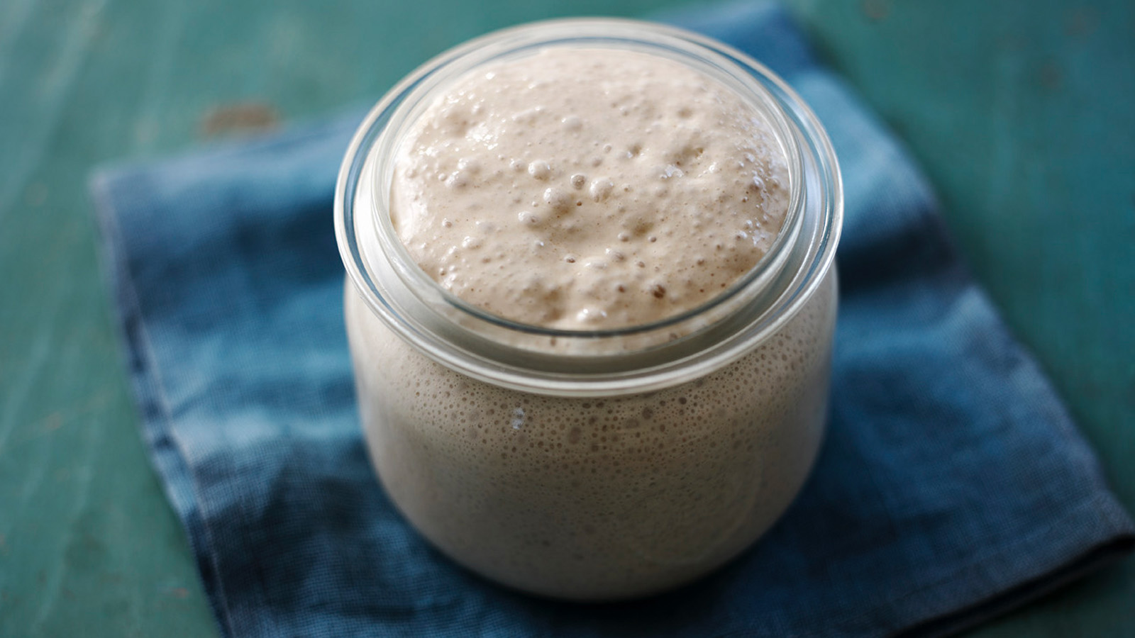 Bread store starter sourdough